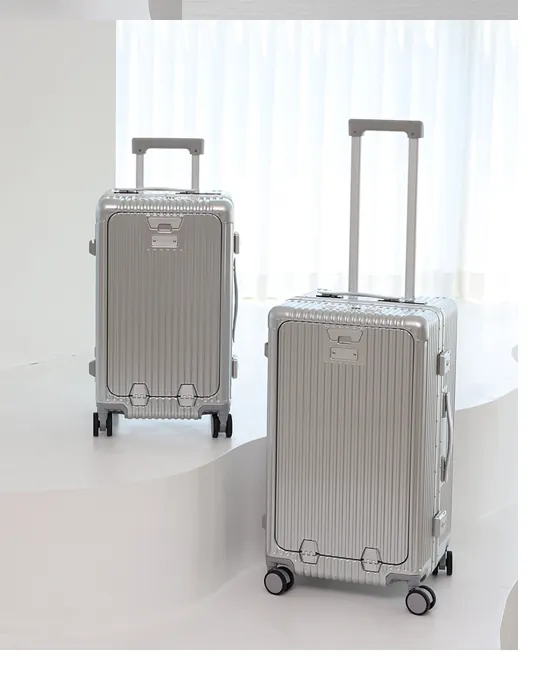Valises 20 et 24 pouces en finition Metal Silver